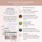 Organixx Clean Sourced Collagen Peptides Powder with Vitamin C, Types I, II, III, V, X Hydrolyzed Collagen, Hair, Nail, Skin, Bone & Joint Health, Aging Support, Gluten Free, Unflavored, 15 Servings