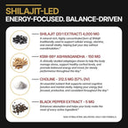 DLNIA 13-in-1 Shilajit Gummies with KSM-66® Ashwagandha | 4000 mg Himalayan Shilajit Extract (20:1), Choline & Botanicals | Sugar-Free, Vegan | Energy, Focus & Daily Vitality Support for Men & Women