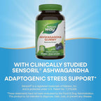 Nature's Way Ashwagandha Gummies, Reduce Stress with Adaptogenic Herb*, 125 mg Per 2-gummy Serving, Berry Flavored, 90 Gummies (Packaging May Vary)