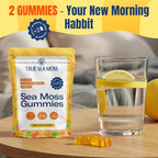 TrueSeaMoss Gummies Sample – 1200mg Irish Sea Moss + Bladderwrack & Burdock Root – Travel-Size, Vegan, Fruity, Gluten-Free – 14 Gummies – Easy On-the-Go Wellness – Made in USA