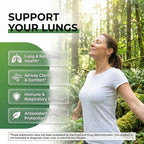 Clean Nutra Mullein Gummies for Lung Health Support with Elderberry Chlorophyll Spirulina Tart Cherry Sea Moss Vitamin C Lutein Marshmallow Root Licorice Root Superfood Greens Mucus Relief 60 Gummies