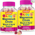 WellYeah Magnesium Citrate Gummies for Kids (2 Pack) - Chewable Stress Relief Supplement for Children - Natural Calm, Mood Support, Non-GMO, Gluten Free - Natural Sourced Flavors - 60 Gummies