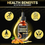6in1 Liquid Turmeric Ceylon Cinnamon Berberine Ginger Bitter Melon & Black Pepper – Turmeric Supplement Drops – 1 FL OZ – 60 Servings