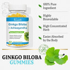 240MG Ginkgo Biloba Gummies | 60 Gummies | Improve Mood and Focus, Brain Health| Pineapple Flavor | Vegan, Non-GMO, Gluten Free Supplement
