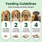 Probiotics for Dogs – Daily Support for Yeast Infection & Itchy Skin, Allergy, Paw Licking & Itchy Ears Relief – Pawganix YeastGuard Supplement (60 Chewable Tablets)