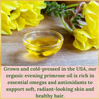 Evening Primrose Oil – 100% Pure, Cold-Pressed & Unrefined, Organic Evening Primrose Oil, Rich in Natural Fatty Acids & Antioxidants – for Skin, Hair, Massage & Carrier Oil, 4 fl oz Glass Bottle