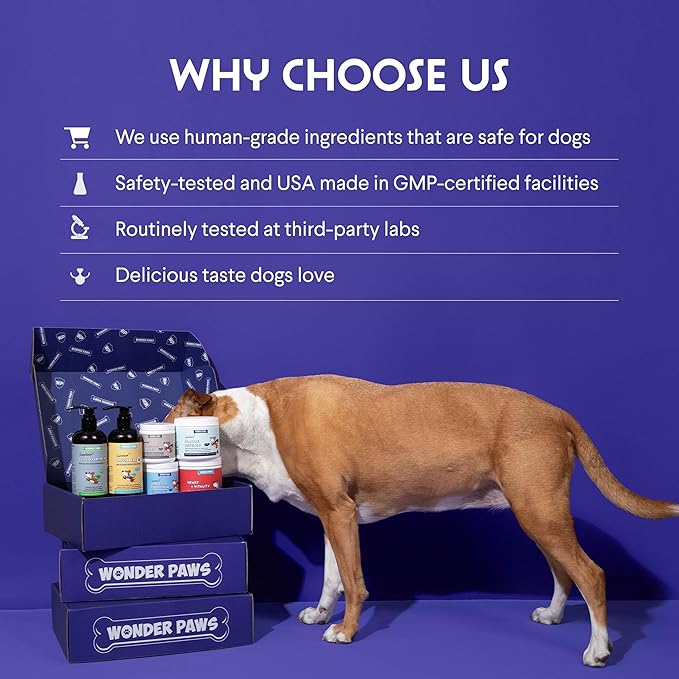 WONDER PAWS Premium Liquid Glucosamine for Dogs Strength Joint Support, Flexibility, Cartilage & Mobility - Hip and Joint Supplement with Chondroitin, MSM, Collagen & Hyaluronic Acid (16 Oz)