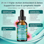 Liposomal Lymphatic Drainage Drops, Liver Cleanse Detox & Repair Liquid Supplement with Milk Thistle, Dandelion, Burdock Root & Echinacea - Lymph & Liver Detox, Antioxidant, Natural Flavor 2 Fl Oz
