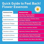 Feel Bach! FeelFit Flower Essence Drops — Natural Homeopathic Dietary Supplement with Flower Essences for Mindful Eating & Healthy Habits, Vegan, Gluten-Free, Sugar-Free, 20 mL (0.7 fl oz)