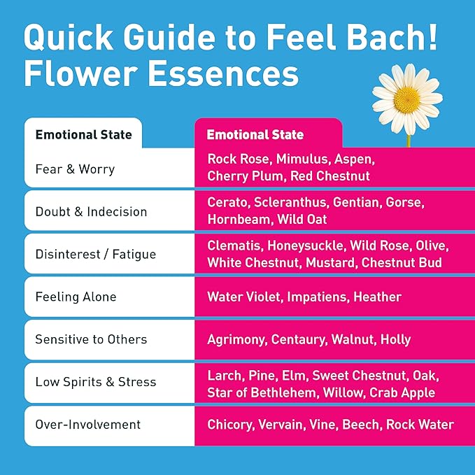 Feel Bach! FeelFit Flower Essence Drops — Natural Homeopathic Dietary Supplement with Flower Essences for Mindful Eating & Healthy Habits, Vegan, Gluten-Free, Sugar-Free, 20 mL (0.7 fl oz)