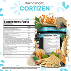 Clean Nutra Cortisol Supplements For Women | Maca Root Ashwagandha Cortisol Detox Manager Reducer + Slippery Elm Fenugreek Lions Mane Shilajit Rhodiola Sea Moss Tongkat Ali Cordyceps Ginseng Beet Root