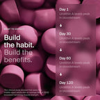 Timeline Mitopure Urolithin A Supplement Gummies - Clinically Proven Support for Healthy Aging Cellular Energy Muscle Strength and Longevity