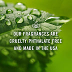 P&J Trading Fragrance | Mountain Air Oil 30ml - Candle Scents for Candle Making, Freshie, Soap Making Supplies, Diffuser Oil Scents