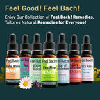Feel Bach! Thunder Storms Remedy - Natural Homeopathic Flower Essences to Alleviate Pet Fears to Noise, Fireworks, Storms, & Booms - Vegan, Gluten & Sugar-Free, Non-Habit Forming, 20ml (0.7 fl oz)