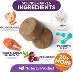 Dog Multivitamin Chewable - Dog Vitamins and Supplements with Glucosamine - 170 Chews - Hip & Joint, Pet Immune Support, Skin & Coat, Gut & Heart Health - Senior & Puppy Multivitamin Pet Supplement