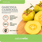 NatureWise Garcinia Cambogia - 60% HCA Concentration Extract,Natural Support for Weight Goals and Energy Levels - Vegan,Non-GMO,Gluten Free - 180 Capsules[2-6 Month Supply],(Pack of 2)