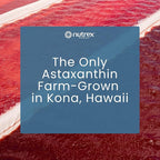 Nutrex Hawaii BioAstin Hawaiian Astaxanthin - 12mg, 25 Softgels - Farm-Direct Premium Antioxidant Supplement to Support Eye, Skin, Joint & Immune System Health - Non-GMO & Gluten-Free