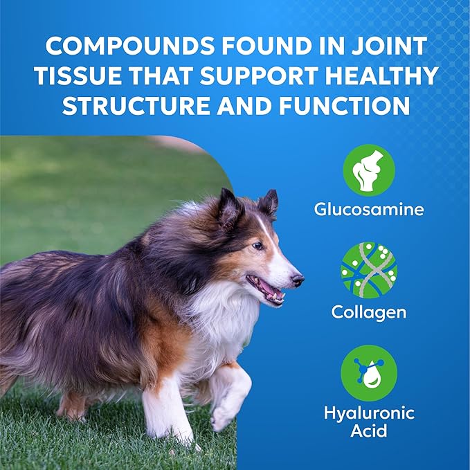 Nutramax Laboratories Cosequin Elements Dog Joint Health Supplement with Glucosamine, Green Lipped Mussel, Eggshell Membrane, & Hyaluronic Acid, 75 Tasty Chewable Tablets for Dogs