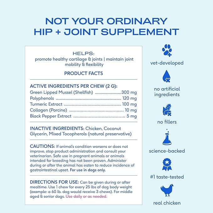 Native Pet Inflammatory Care - Pain Relief for Dogs - Green-Lipped Mussel, Turmeric & Collagen for Dogs - Hip and Joint Supplement Supports Healthy Inflammatory Response & Joint Comfort - 120 Chews