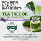 Tea Tree Lavender Body Wash MaxTherapy, Itchy Skin Relief, Antifungal Defense, Fights Body Odor, Soothes Jock Itch & Athlete's Foot, Intimate Wash, Men & Women, 2-Pack, Limited Edition