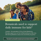 Gaia Herbs Black Elderberry Daily Gummies for Kids - Delicious Immune Support Supplement - Certified Organic Black Elderberries for Immune System Support* - 40 Vegan Gummies (40 Servings)