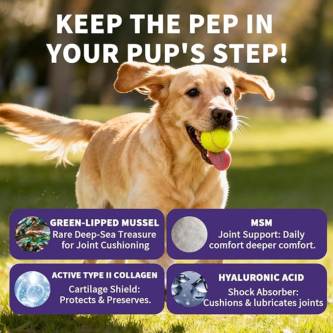 3g 90 Count Hip & Joint Supplement for Dogs with Undenatured Type II Collagen, MSM, Green Lipped Mussel, Glucosamine, Chondroitin Support Mobility, Chicken Flavored Soft Chews
