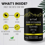 Pure Himalayan Shilajit Gummies – Natural Daily Supplement with Ashwagandha – 60 Gummies – Non-GMO & Sugar-Free