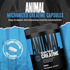 Animal Micronized Creatine Monohydrate Capsules - 300 Caps, 2500mg per Serving to Support Muscle Growth, Endurance, ATP Production, Cognitive Function, Strength, Recovery, and Delay Muscle Fatigue