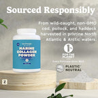 Zen Principle Marine Collagen Peptides Powder 3 lb. Wild-Caught Fish, Non-GMO. Supports Healthy Skin, Hair, Joints and Bones.Hydrolyzed Types I, II, III, and IV Protein. Amino Acids. Easy to Mix.