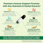 Immune Support 6-in-1 – Elderberry, Ginger, Korean Ginseng, Vitamin C 500mg, D3 2500IU, Zinc | Vegan Capsules – 1 Month Supply | Innervis Nutrition