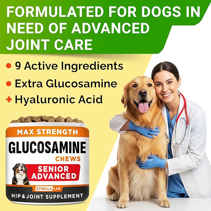 Senior Advanced Glucosamine Joint Supplement for Dogs - Hip & Joint Pain Relief - Small + Large Breeds -Omega-3 Fish Oil - Chondroitin, MSM- Mobility Soft Chews for Older Dogs - Chicken Flavor - 240Ct