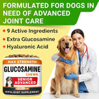 Senior Advanced Glucosamine Joint Supplement for Dogs - Hip & Joint Pain Relief - Small + Large Breeds -Omega-3 Fish Oil - Chondroitin, MSM- Mobility Soft Chews for Older Dogs - Bacon Flavor - 240Ct