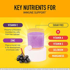 Airborne Elderberry Extract + Vitamin C 1000mg (per Serving) - Effervescent Tablets (20 Count in a Box), Gluten-Free Immune Support Supplement, with Vitamins A C E, Zinc, Selenium, Sugar Free