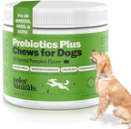 Deley Naturals Probiotics Plus Chews for Dogs - Gut Health Supplement with 5 Billion CFU's & Digestive Enzymes - Prebiotics for Dog Allergies, Diarrhea & Yeast - 90 Count Pumpkin Flavor Made in USA