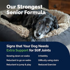 YuMOVE Hip & Joint Supplement for Senior Dogs with Advanced Strength Glucosamine, Omega 3, Hyaluronic Acid, Green Lipped Mussel, & Fish Oil for Dogs - 120 Chewable Tablets