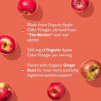 WellPath Pure Organic Apple Cider Vinegar Gummies from The Mother (3 Pack) - Made with Ginger for Gut Health | Vegan, Non-GMO, 180 Ct