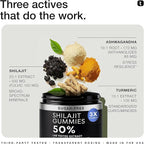 Shilajit Gummies – 20:1 Concentrate – 50% Fulvic Acid, Himalayan Sourced – Ashwagandha + Turmeric – Sugar-Free – Lab Tested