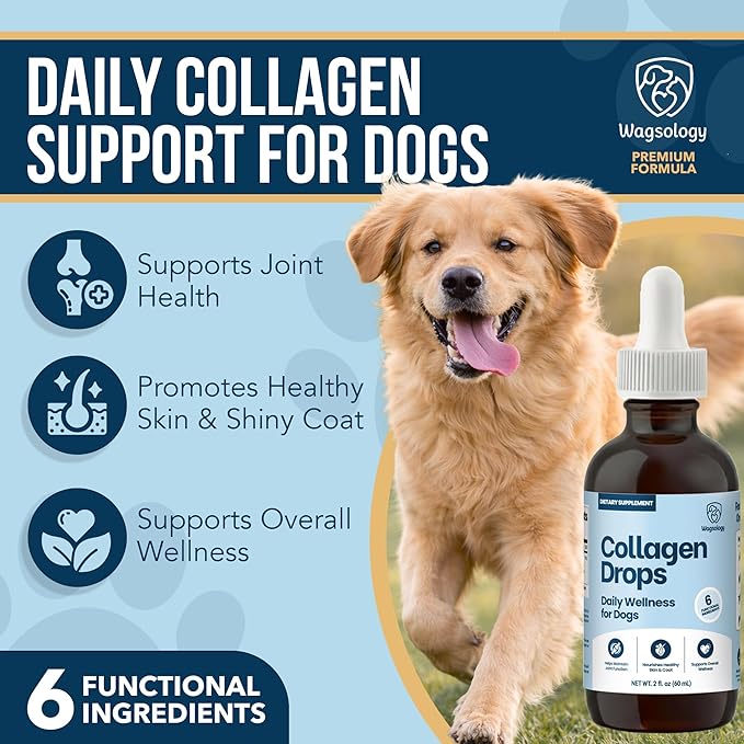 Liquid Collagen for Dogs - Dog Collagen Drops for Dogs, Supports Joints, Skin, Coat, Bones and Itch Relief for Dog, 6 in 1 Formula, 3 Types Collagens, Biotin, Vitamin C, Vitamin E and Hyaluronic Acid