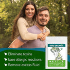 Nettle Tea Organic (40 Tea Bags) - Stinging Nettle Leaf TeaBags – Ortiga Tea for Optimal Health, Immune Support, Kidney - Te de Ortiga Organico Natural