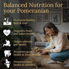 Multivitamins, Balanced Nutrition for Your Pomeranian, 90 Count, Made in the USA with Real Bacon