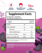 SUNNY SAM Iron Gummies for Kids & Adults - Iron Vitamins with Vitamin C, 10mg per Serving - Chewable Fruit Gummy for Immune Support Red Blood Cell Production