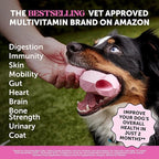 10-in-1 Dog Multivitamin Supplement with Glucosamine & Probiotics - Hip & Joint Support, Digestive Health, Immune Support, Heart & Skin - All-in-One Daily Vitamins & Omega-3s for Dogs (Chicken, 90 Ct)