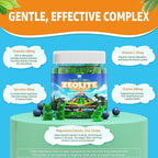 Zeolite Gummies for Kids & Adults, Sugar Free Zeolite Detox Supplements w/ Chlorella, Spirulina, Minerals, Choline - Gentle Body Detox & Cleanse, Gut Health, Immune, Focus, Energy, Bone, Vegan, 60cts