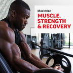 Force Factor Creatine Monohydrate Gummies, 5g Dose for Men & Women to Support Muscle, Strength, Recovery, Cognitive Health & Memory, Assorted Fruit Flavors, 150 Gummies, (Pack of 2)