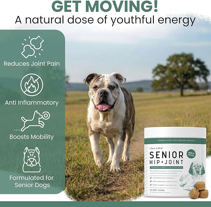 Chew + Heal Labs Glucosamine for Dogs Hip and Joint Supplement - 120 Senior Dogs Mobility Soft Chews - Made with Glucosamine, MSM, Chondroitin, Green Lipped Mussels and More - Made in The USA