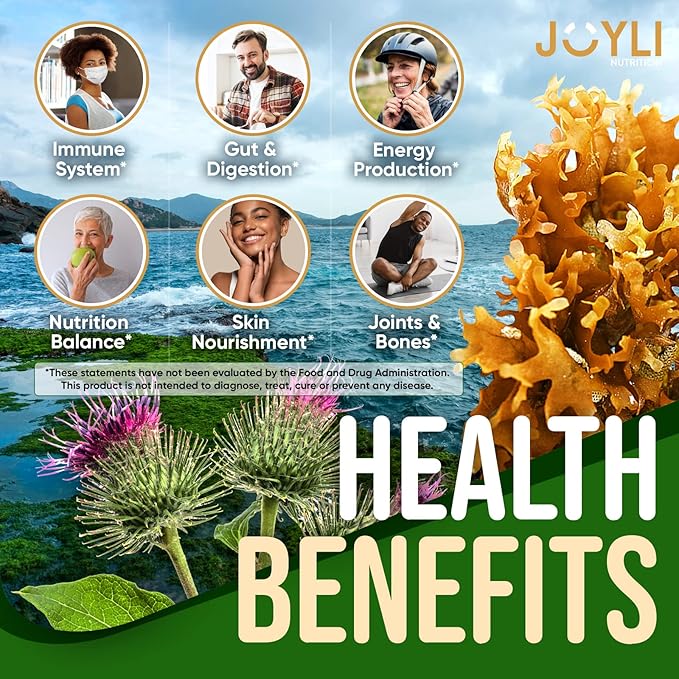 JOYLI Nutrition 2 Pack - Sea Moss Gummies for Adults & Kids – Vegan Irish Sea Moss Supplement with Bladderwrack & Burdock Root – Sugar-Free Immune Support Supplements - 60 Gummy Bears per Pack