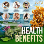 JOYLI Nutrition 2 Pack - Sea Moss Gummies for Adults & Kids – Vegan Irish Sea Moss Supplement with Bladderwrack & Burdock Root – Sugar-Free Immune Support Supplements - 60 Gummy Bears per Pack