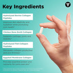 Vital Vitamins Multi Collagen Capsules - Type I, II, III, V, X - Grass-Fed, Collagen Peptides Supplements, Non-GMO - for Men & Women - 150 Count