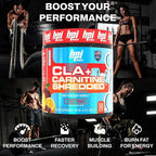 BPI Sports CLA + Carnitine Shredded - Convert Fat Cells Into Energy and Supports Lean Muscle, Boost Metabolism - Non-Stimulant L-Carnitine Supplement - Fruit Punch (14.1 oz. / 50 Servings)