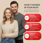 Berberine 500 mg GLP-1 Weight Loss Supplement – Berberine HCl with Ceylon Cinnamon, Probiotics, Vitamin D3 & K2 – Glucose Metabolism & Appetite Support – 1 Pack - 60 Capsules